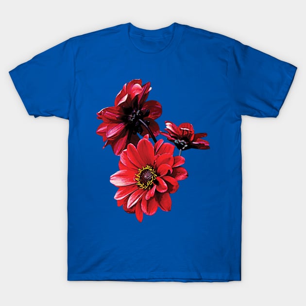 Red Zinnia Trio T-Shirt by SusanSavad